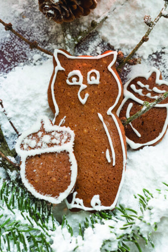 Bake a tasty batch of gingerbread cookies this holiday season